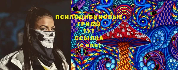ПСИЛОЦИБИНОВЫЕ ГРИБЫ Армянск